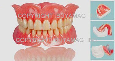 Dentures Patient Education Models