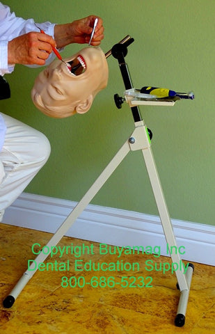 Dental Portable Bench Stand Posture Training