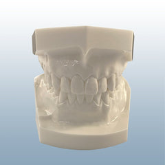Orthodontic Malocclusion models set