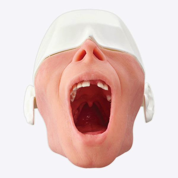 Teeth Implantation Manikin Surgical Simulator: Buyamag – Buyamag INC