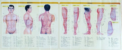 Acupuncture Chart Poster Points Meridias