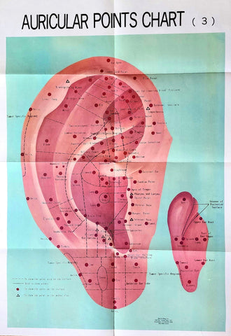 Ear Auricular Points Chart Poster