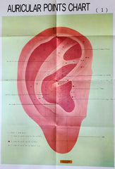 acupuncture points ear chart poster