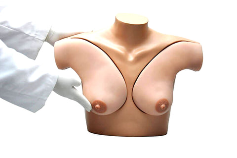 breast self examination model
