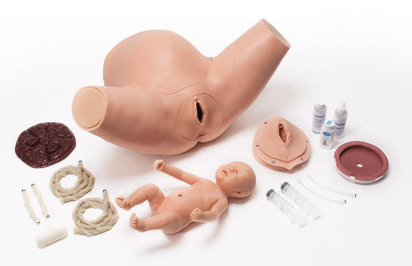 Childbirth Simulator Super Training | Manikin Buyamag Buyamag INC Childbirth Simulator Super Training | Manikin Buyamag Buyamag INC