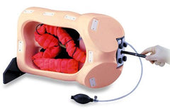 colonoscopy simulator