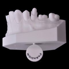 dental-crown-bridge-model