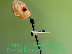 Dental Portable Mount Stand Training Posture Techniques Demonstrations