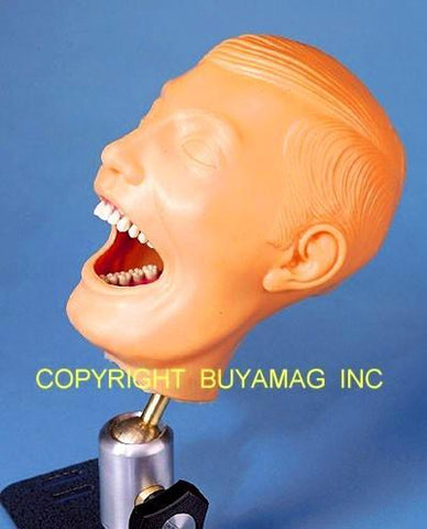 Dental Techniques Auxiliary Training Manikin Adult Complete