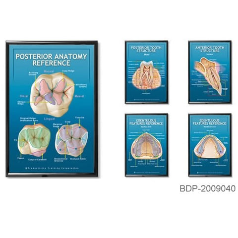 All 5 Dental Educational Posters