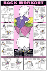 Back Workout Chart Poster