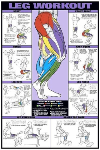 Leg Workout chart bodybuilding weightlifting poster