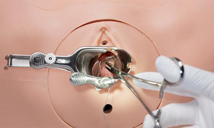 Vulva Integrated Fistula Simulator 