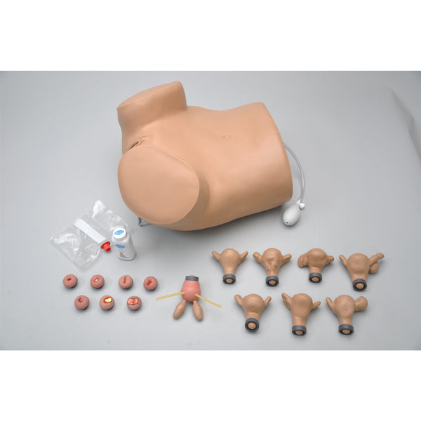 Female IUD Training Model | 1:1 Soft Silicone Gynecological Manikin For Medical Education