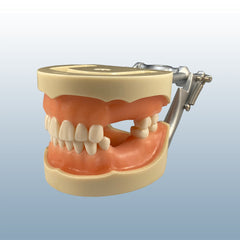 teeth impression take  edentulous model