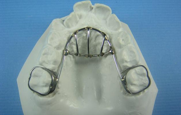 Thumb Habit Orthodontic Model