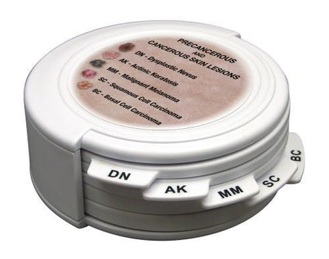 Skin Disease Pathologies 5 Discs In One Model