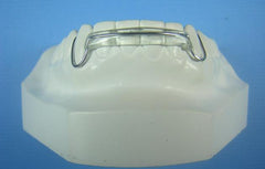 Modified Spring Retainer Orthodontic Model