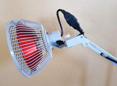 TDP mineral lamp infrared