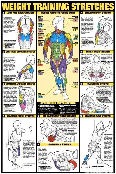 Weightlifting Training Poster- Chart Workout Buyamag – Buyamag INC