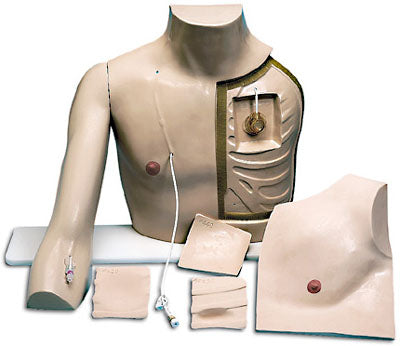 Heart Catheterization Cannulation Models