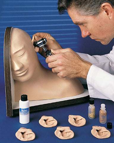 nose sinus thyroid simulation, ear reconstruction model examination simulator anatomical model