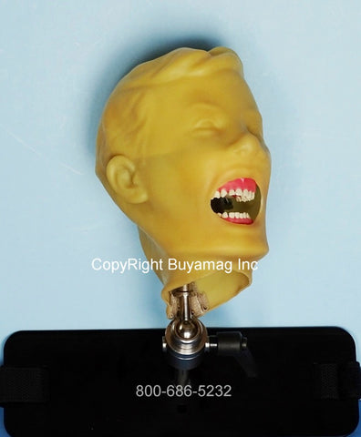 Dental Child X-Ray Manikin Simulator