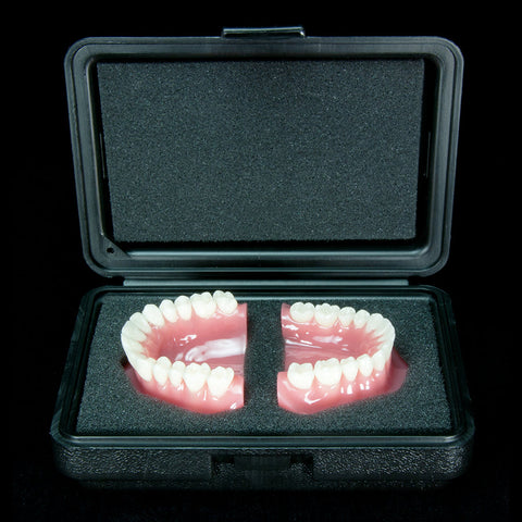 orthodontic models with clear plastic aligners