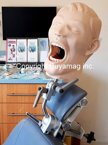 dental x-ray training manikin practice simulator