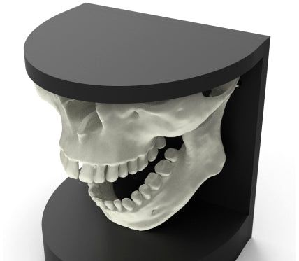 Dental X-Ray Oral Maxillofacial Simulator