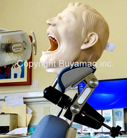 Dental X-Ray Models Manikin Simulators
