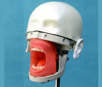  Dental Oral Cavity Cover Water Drainage System