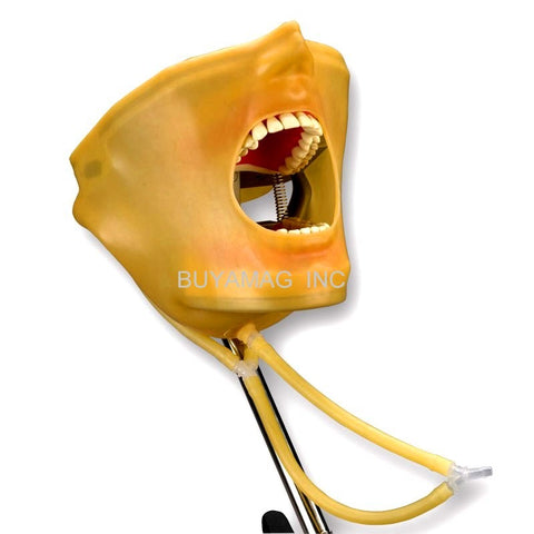 Dental Mask, Oral Cavity Cover Water Drainage System