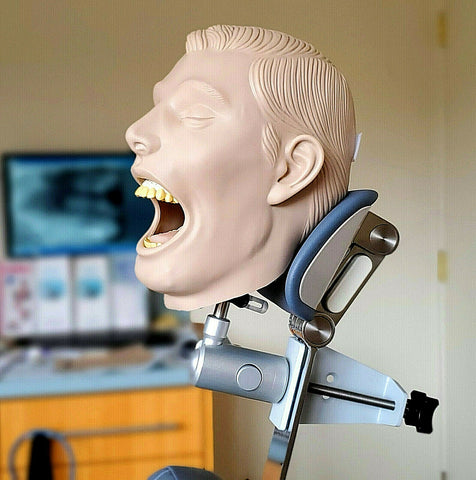 dental manikin face mask