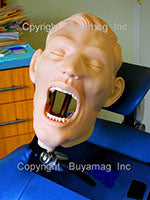 Dental Training Manikins Simulators