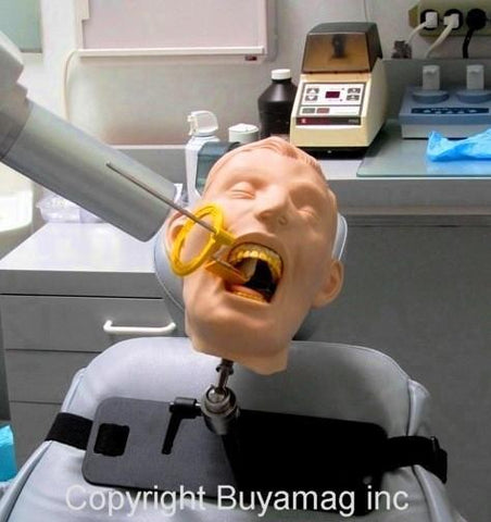 dental x-ray models simulator 