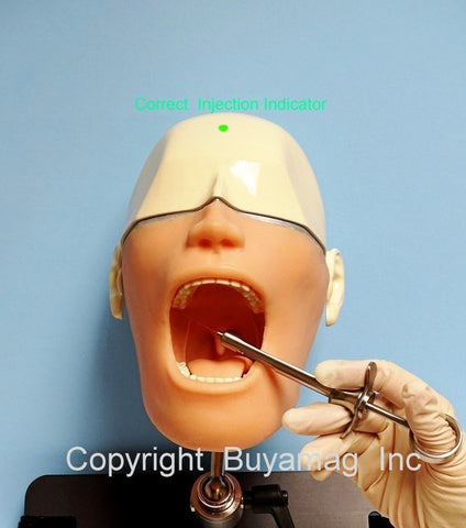 dental anesthesia manikin simulator model phantom head