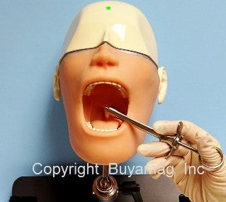 oral anesthesia dental manikin simulator phantom