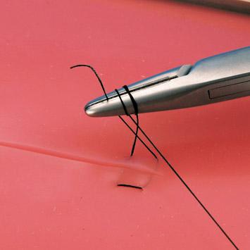 dental oral gum suture model