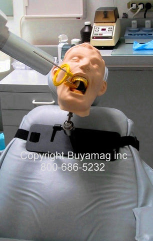 Dental X-Ray Manikins Simulators