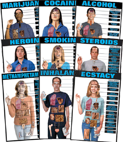 drug alcohol education poster chart