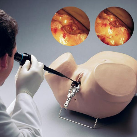 Gynecology Examination Simulator Manikin