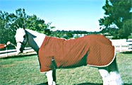 Biomagnetic Horse Blankets Regular and Summer