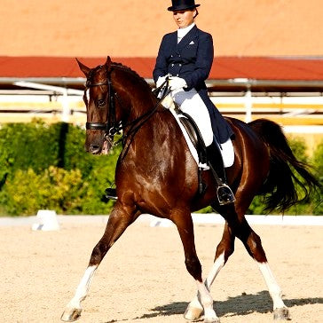 Horse Dressage Smooth Run Pro