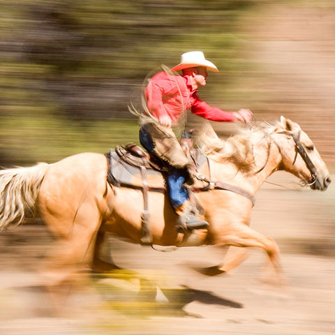 Hors Endurance Smooth Run Plus