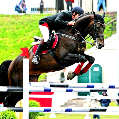 Horse Jumping Smooth Run Pro