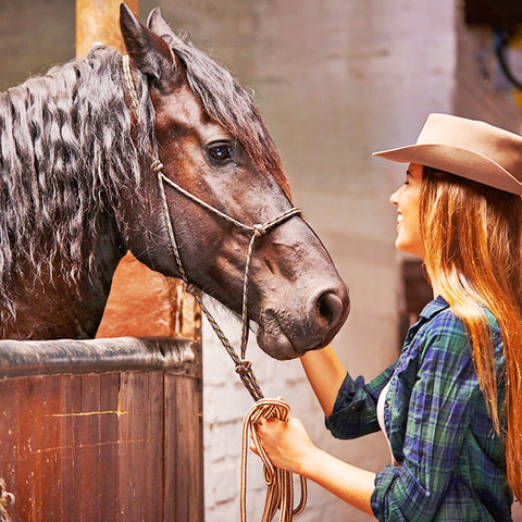 Horse Pleasure Smooth Run Prime