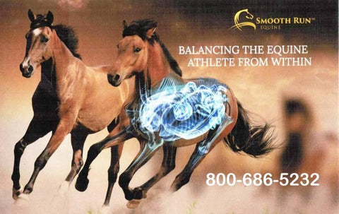 Smooth Run Equine & Discipline
