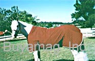  Horse Equine Magnetic Therapy