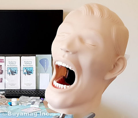 Dental Manikins Phantom